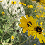 Profile Picture of Tamara Stewart (@tamarastewart2076) on Youtube