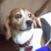 Profile Picture of Crystal Graves (@crystalgraves5787) on Youtube