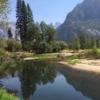 Profile Picture of Nolene Steven (@nolene-steven) on Quora