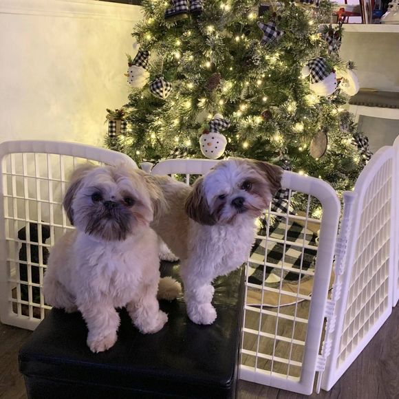 Vonnie Brown - Poshmark Profile Picture of Vonnie Brown (@vonnie0221) on Poshmark