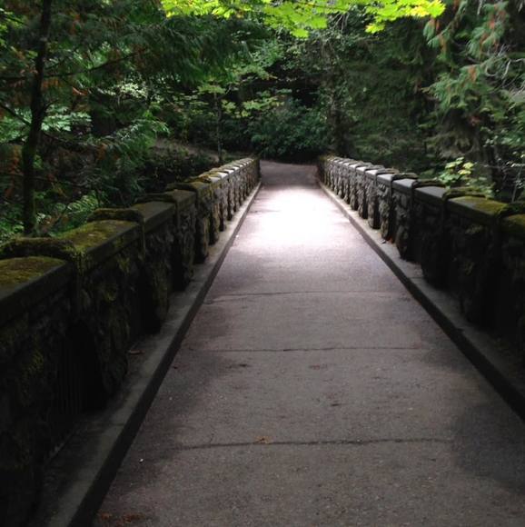 Alex Wortley - Poshmark Profile Picture of Alex Wortley (@braydin04) on Poshmark