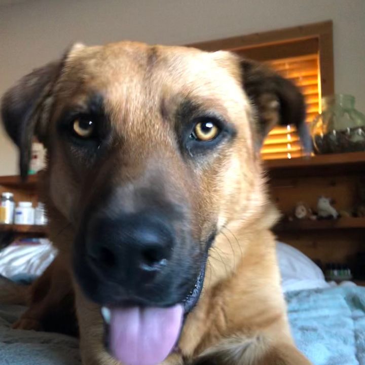 Profile Picture of Kim Frey829 (@kimfrey829) on Tiktok