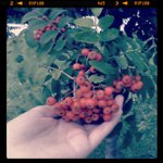 Profile Picture of Dwayne Kendrick (@subofreot) on Instagram