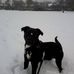 Profile Picture of Peter James Ringer (@peterjames.ringer) on Facebook