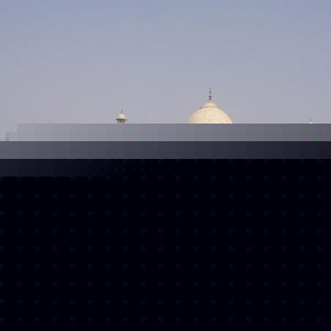 Profile Picture of David Stecker (@steckman444) on Myspace