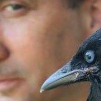 Profile Picture of Gregory Hinde (@gregory-hinde) on Quora