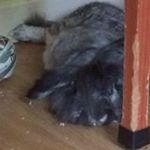 Profile Picture of Kenny Ritchie (@kennyritchie50) on Instagram