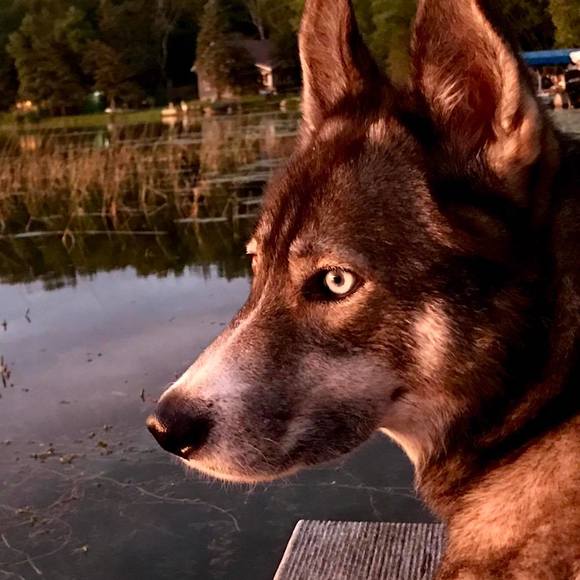 Profile Picture of Linda Luchau (@l38a29) on Poshmark