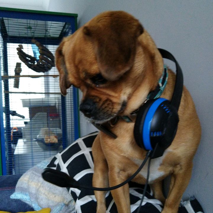 Profile Picture of Jeff Deering (@@jeffdeering) on Tiktok