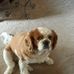 Profile Picture of Greg Englert (@greg.englert.77) on Facebook