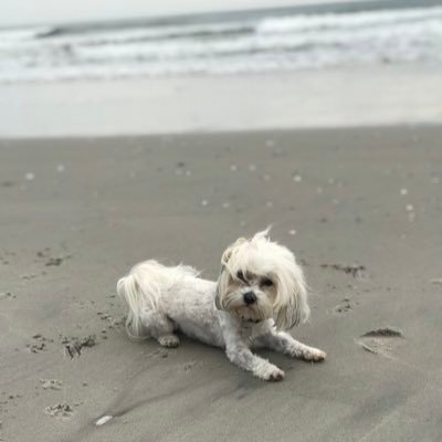 Profile Picture of Jim Pekala (@JPekala) on Twitter