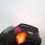 Profile Picture of Charles Gilliam (@red_beard_guy_and_his_subies) on Instagram