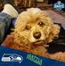 Profile Picture of Alan Toby (@alan.toby.77) on Facebook