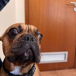 Nutella Maria Carvalho Pereira Pereira - Instagram Profile Picture of Nutella Maria Carvalho Pereira Pereira (@nutella_strabik) on Instagram