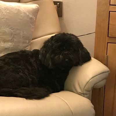 Profile Picture of Rita Bailey (@RitaBai15001610) on Twitter