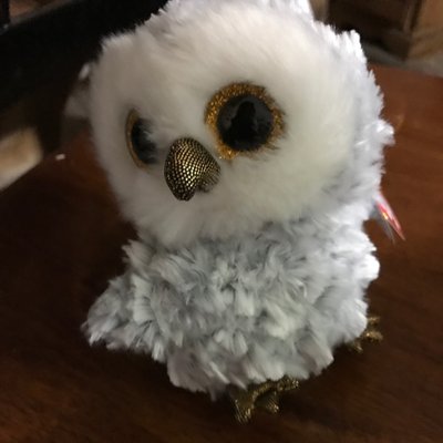 Profile Picture of Celeste Fowler (@CFowler25) on Twitter