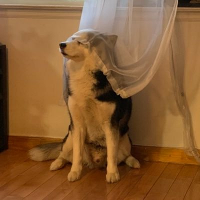 KeLLyBeaNz - Twitter Profile Picture of KeLLyBeaNz (@KellyBeanzx3) on Twitter