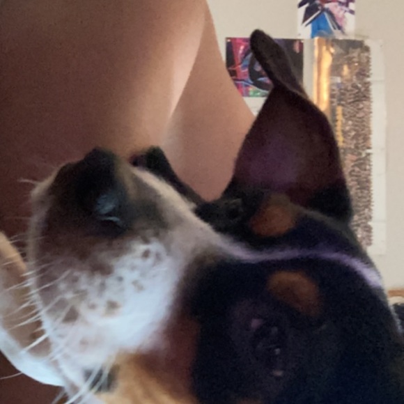 Profile Picture of Noemi Lamboy (@marie2001474) on Poshmark