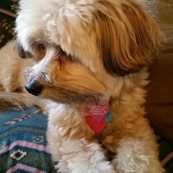 Profile Picture of Laurey Schank (@rlschank) on Poshmark