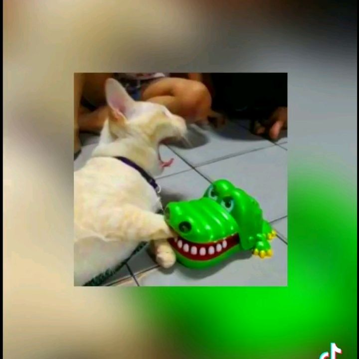 Profile Picture of Christian Ojeda (@eri_cristo) on Tiktok