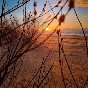 Profile Picture of Alex Para (@alexpara1189) on Youtube