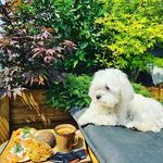 Profile Picture of David Wesley (@davi_wesley434) on Instagram