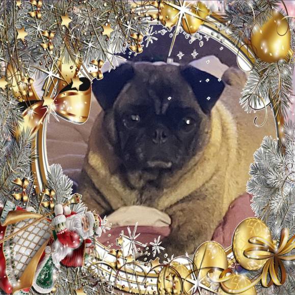 Profile Picture of Krista Rolin (@kristarolin) on Poshmark