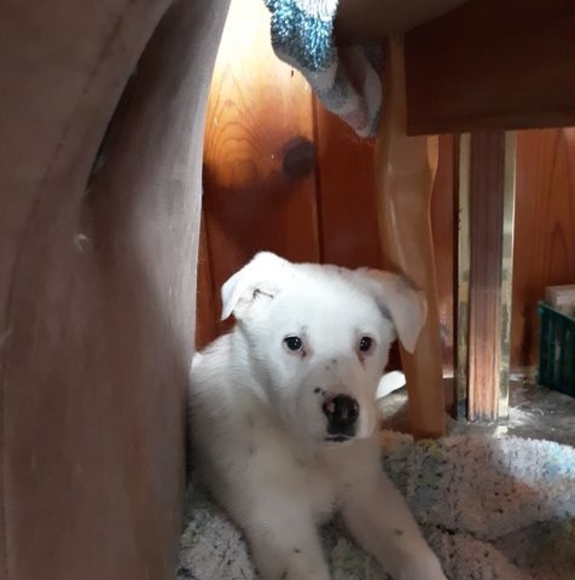 Profile Picture of Stormy Calentine (@stormycalentine) on Poshmark