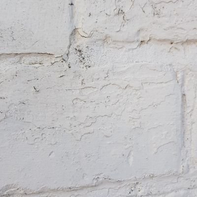 Profile Picture of Randy Fidler (@randy_fidler) on Twitter