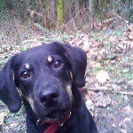 Profile Picture of Jacqueline Laura (@slayerann) on Instagram