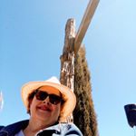 Profile Picture of Silvia Padron (@carapadron2) on Instagram