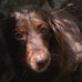 Profile Picture of Cynthia Depault (@cynthia.depault) on Facebook