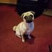Profile Picture of Jacquelyn Bradshaw (@jacquelyn.bradshaw.7) on Facebook