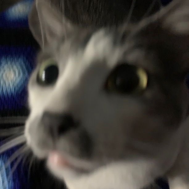 TikTok de ANTHAMES_27... - Tiktok Profile Picture of   TikTok de ANTHAMES_27... (@anthames) on Tiktok