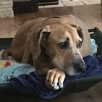 Profile Picture of Glenn Pappin (@glennpappin) on Instagram