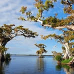 Profile Picture of Jozef Zajaczkowski (@Jozef-Zajaczkowski) on Facebook