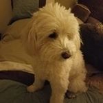 Profile Picture of Linda Lee Parris (@lindaparris) on Instagram