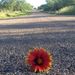 Profile Picture of Clarissa McDaniel (@clarissa_mcdani) on Pinterest