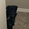 Profile Picture of Brian Jordan (@@brianaron) on Tiktok