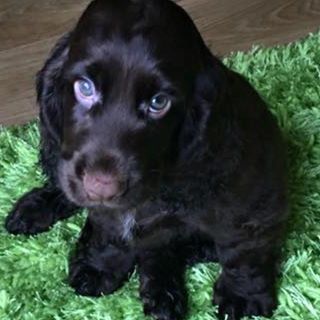 Profile Picture of Joseph Mcstay (@joseph.mcstay.16) on Facebook