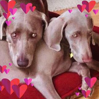 Profile Picture of Terry Chakos Baugh (@terry.chakosbaugh) on Facebook