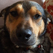 Profile Picture of Chris Fagot (@ChrisFagot) on Youtube