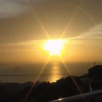 William Guadalupe - Quora Profile Picture of William Guadalupe (@william-guadalupe-1) on Quora