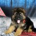 Profile Picture of Richard Waters (@richard.waters.731) on Facebook