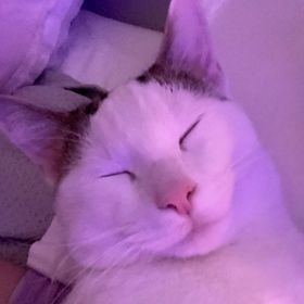 Profile Picture of Haven Hobbs (@haven_hobbs) on Pinterest