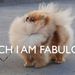 Profile Picture of Randi Case (@245t) on Pinterest