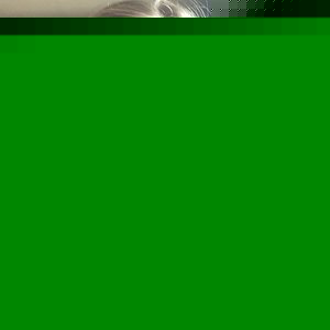 Profile Picture of Mmarissa Elizabeth (@m.millerr) on Myspace