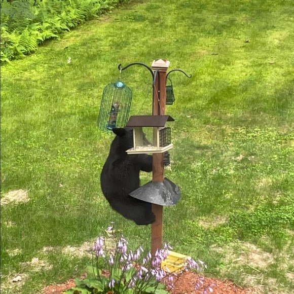 Profile Picture of Christina Roussos (@caroussos) on Poshmark