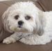 Profile Picture of Daisy Checknita (@daisy.checknita) on Facebook