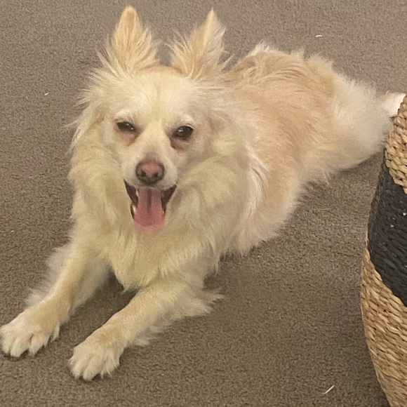 Profile Picture of Lucy Maloney (@lucygraceee) on Poshmark